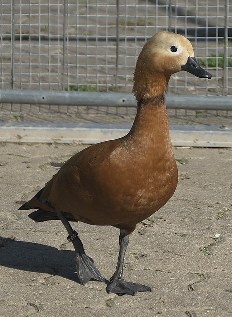 和兴奋